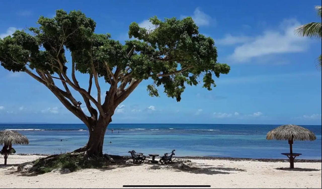 Le 35 Anse Des Rochers Saint-Francois Esterno foto