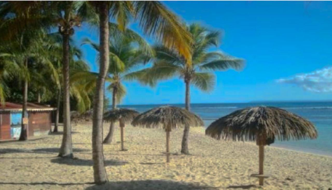 Le 35 Anse Des Rochers Saint-Francois Esterno foto